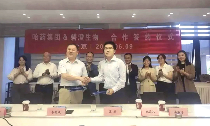 哈药携手清华大学，强强联合共创胶原蛋白行业未来
